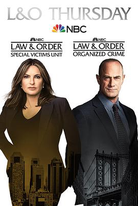 法律与秩序：组织犯罪 第二季第22集
