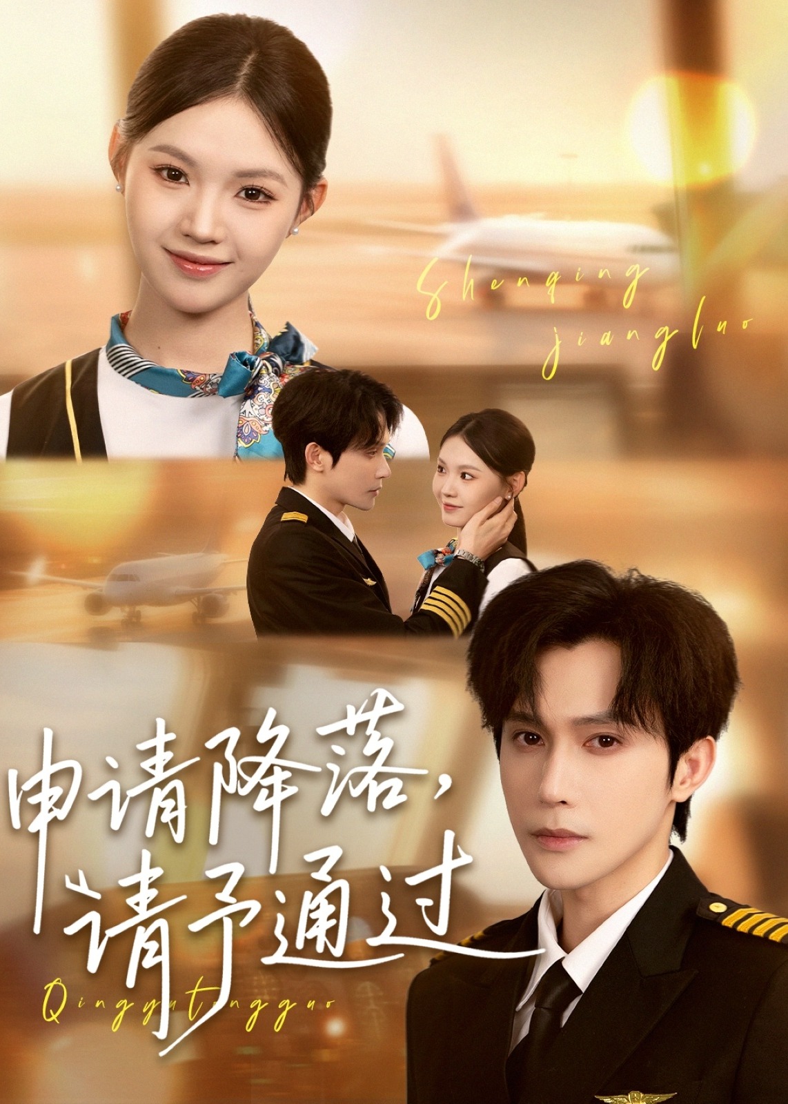 申请降落请予通过(全集)