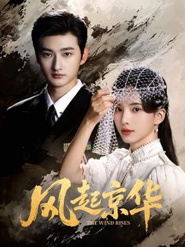风起京华(全集)