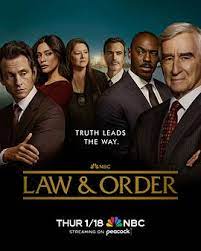 法律与秩序 第二十三季第9集