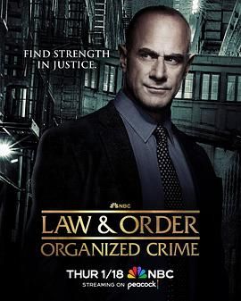 法律与秩序：组织犯罪 第四季第5集